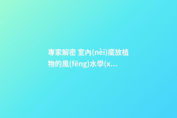 專家解密 室內(nèi)擺放植物的風(fēng)水學(xué)識